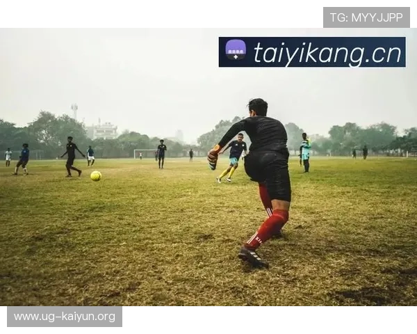 最新开云体育下载版本全面升级，提供更稳定的赛事观看和多样的体育娱乐功能